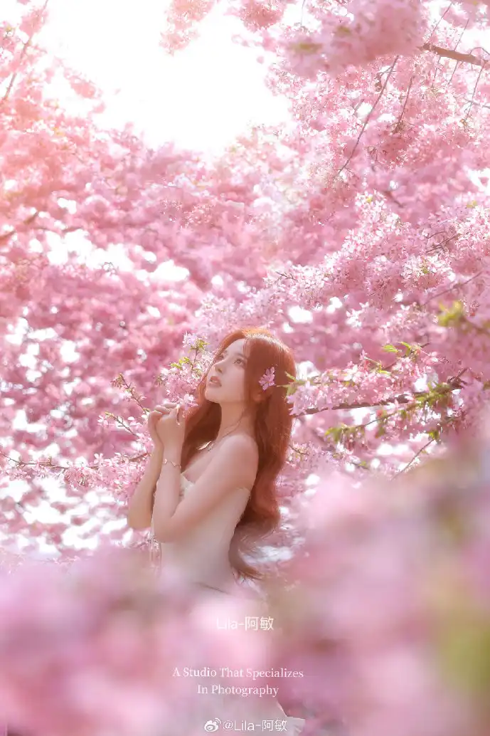 字体侵权案例对比图